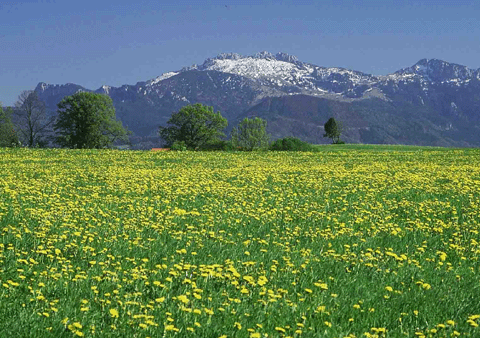 Frühlingslandschaft